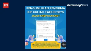 Hasil seleksi KIP Kuliah 2025 jalur SNBP dan SNBT sudah diumumkan