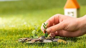 Investasi Cerdas: Waspada Cuan Instan!