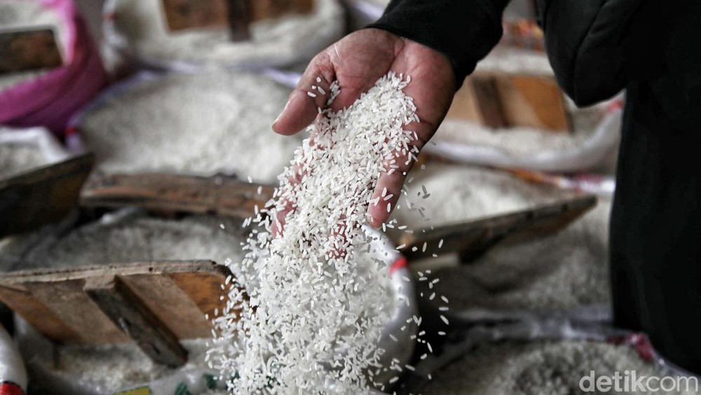 Panen Raya Beras, Harga Berpotensi Turun